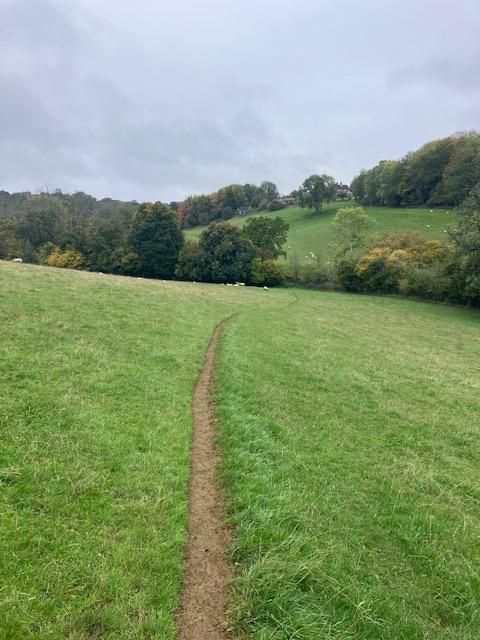 Path near Polesden